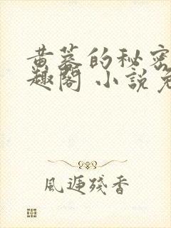 黄蓉的秘密 笔趣阁 小说免费阅读