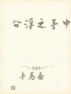 公浮之手中字5