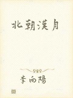 北朝汉月