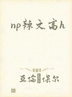 np辣文高h封面