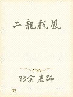 二龙戏凤封面