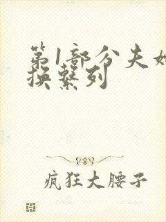 第1部分夫妇交换系列封面