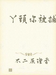 丫头你被捕了封面