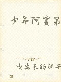 少年阿宾第二部