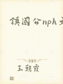 镇国公nph文封面