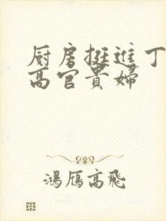 厨房挺进丁字裤高官贵妇