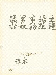 猛男市场之肌肉壮奴的改造