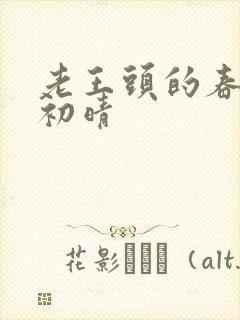 老王头的春天林初晴