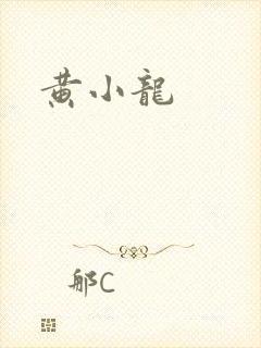黄小龙封面