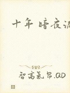 十年 暗夜流光封面