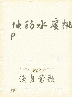 他的水蜜桃pop封面