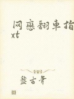 网恋翻车指南txt封面