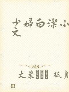 少妇白洁小说全文