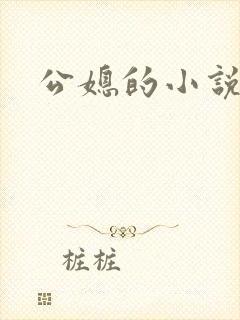 公媳的小说封面