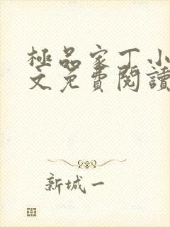 极品家丁小说全文免费阅读封面