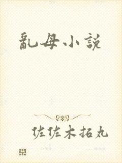 乱母小说封面