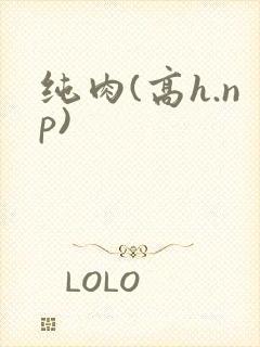 纯肉(高h.np)