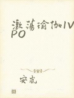 激荡瑜伽1V2PO