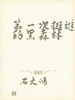 第一次挺进麻麻的黑森林封面