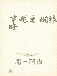 穿越之姻缘劫攻略封面