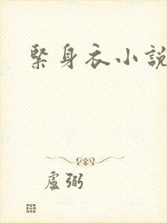 紧身衣小说