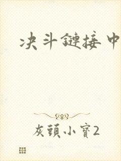 决斗链接中文网封面