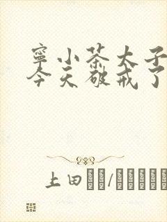 宁小茶太子殿下今天破戒了吗免费阅读