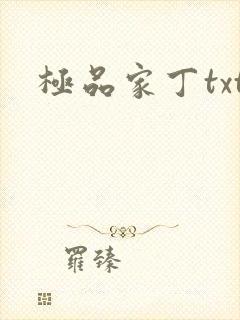 极品家丁txt