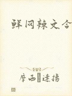 鲜网辣文合集