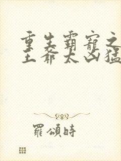 重生霸宠之摄政王爷太凶猛