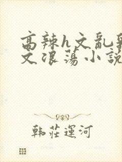 高辣h文乱乳h文浪荡小说苏柔封面