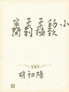 宁柔柔的小泬撑开到极致