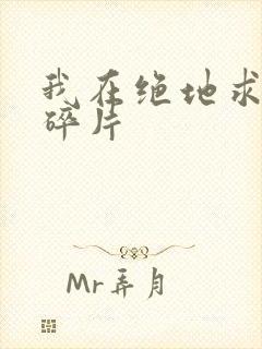 我在绝地求生捡碎片