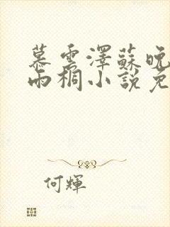 慕云泽苏晚晴夏雨桐小说免费阅读封面