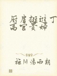 厨房挺进丁字裤高官贵妇