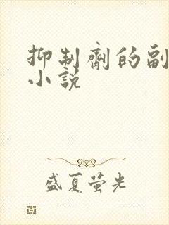 抑制剂的副作用小说