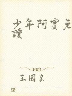 少年阿宾免费阅读