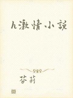 h激情小说