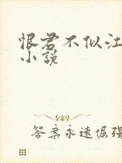 恨君不似江楼月小说