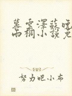 慕云泽苏晚晴夏雨桐小说免费阅读