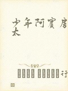 少年阿宾房东太太封面