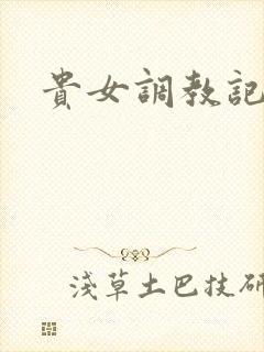 贵女调教记封面