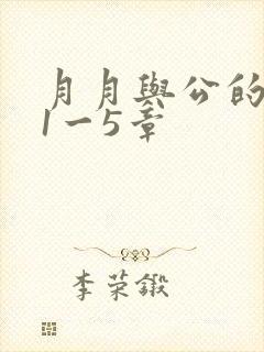月月与公的激情1一5章