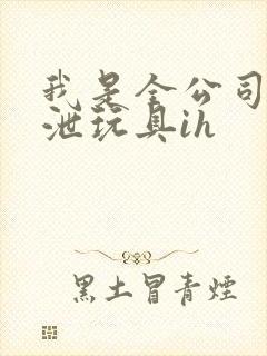 我是全公司的发泄玩具ih