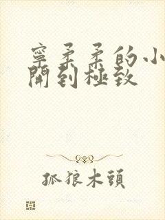 宁柔柔的小泬撑开到极致