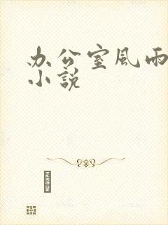 办公室风雨完整小说封面