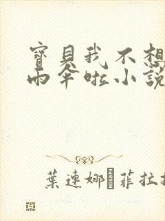 宝贝我不想带小雨伞啦小说封面