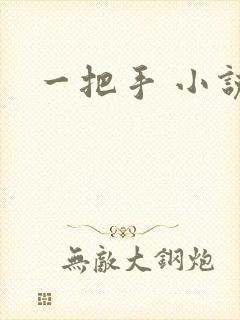 一把手 小说