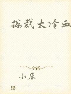 总裁太冷血封面