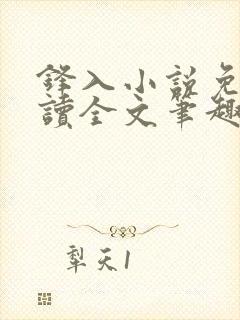锋入小说免费阅读全文笔趣阁封面